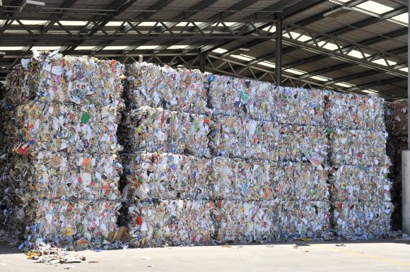 Bales of recycled paper and cardboard awaiting export at the Green Island recycling plant - Friday 090115